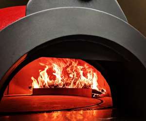 Wood Fired Brick Oven Forza Forni